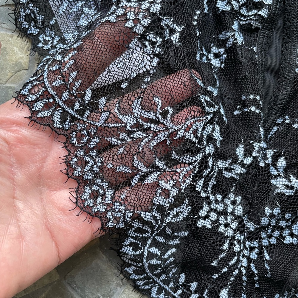 Hanky panky lace sheer panty - Picture 7 of 11